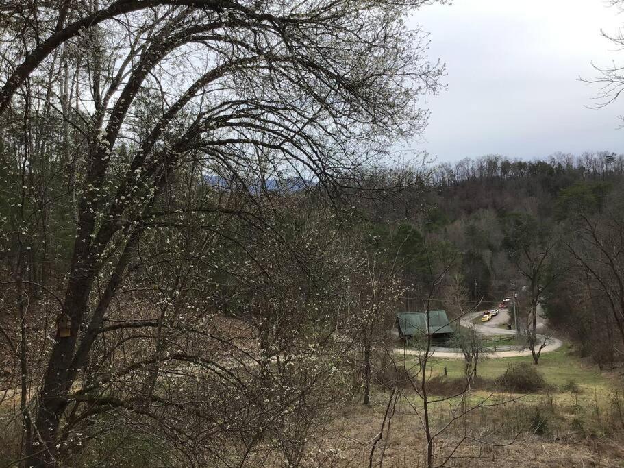 Villa Dollywood-Brand New Dancing Bear 4 Pigeon Forge Esterno foto